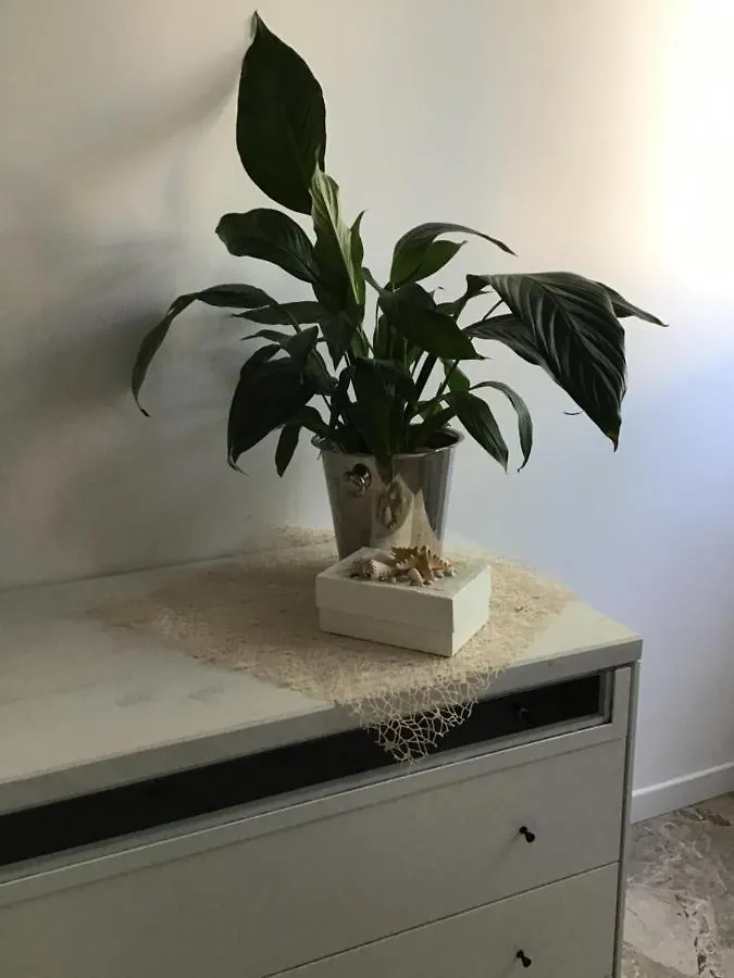 Stella Di Mare Apartment Rimini Italy